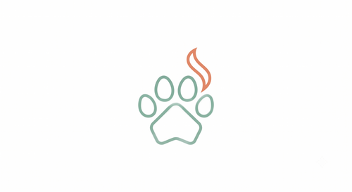 PawSteam